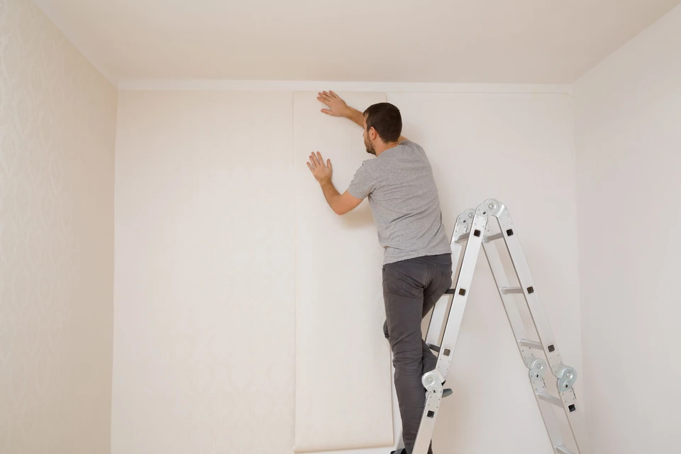 Un homme en t-shirt gris installe du papier peint blanc sur un mur intérieur, debout sur un escabeau télescopique en aluminium
